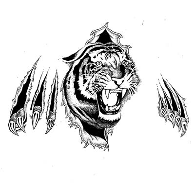 Free Tiger Tattoo Designs Water Transfer Temporary Tattoo(fake Tattoo) Stickers NO.11609